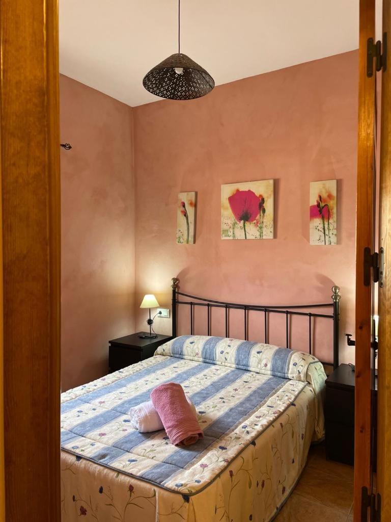 Casa Rural Puente Del Segura Elche de la Sierra Kültér fotó