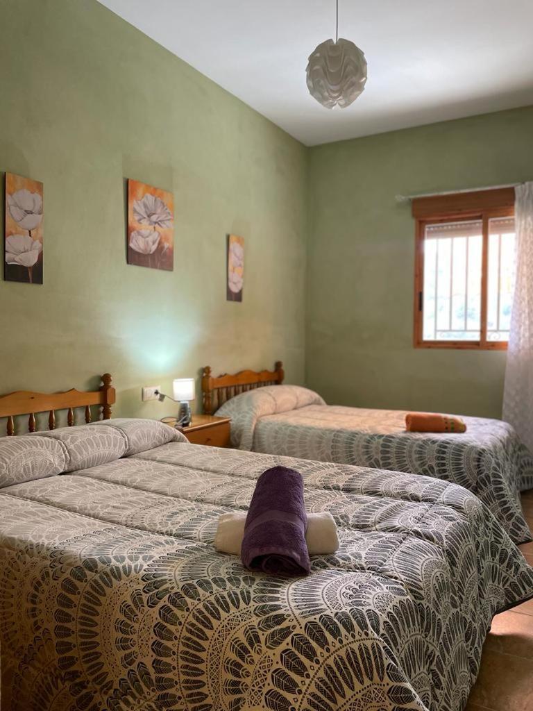 Casa Rural Puente Del Segura Elche de la Sierra Kültér fotó