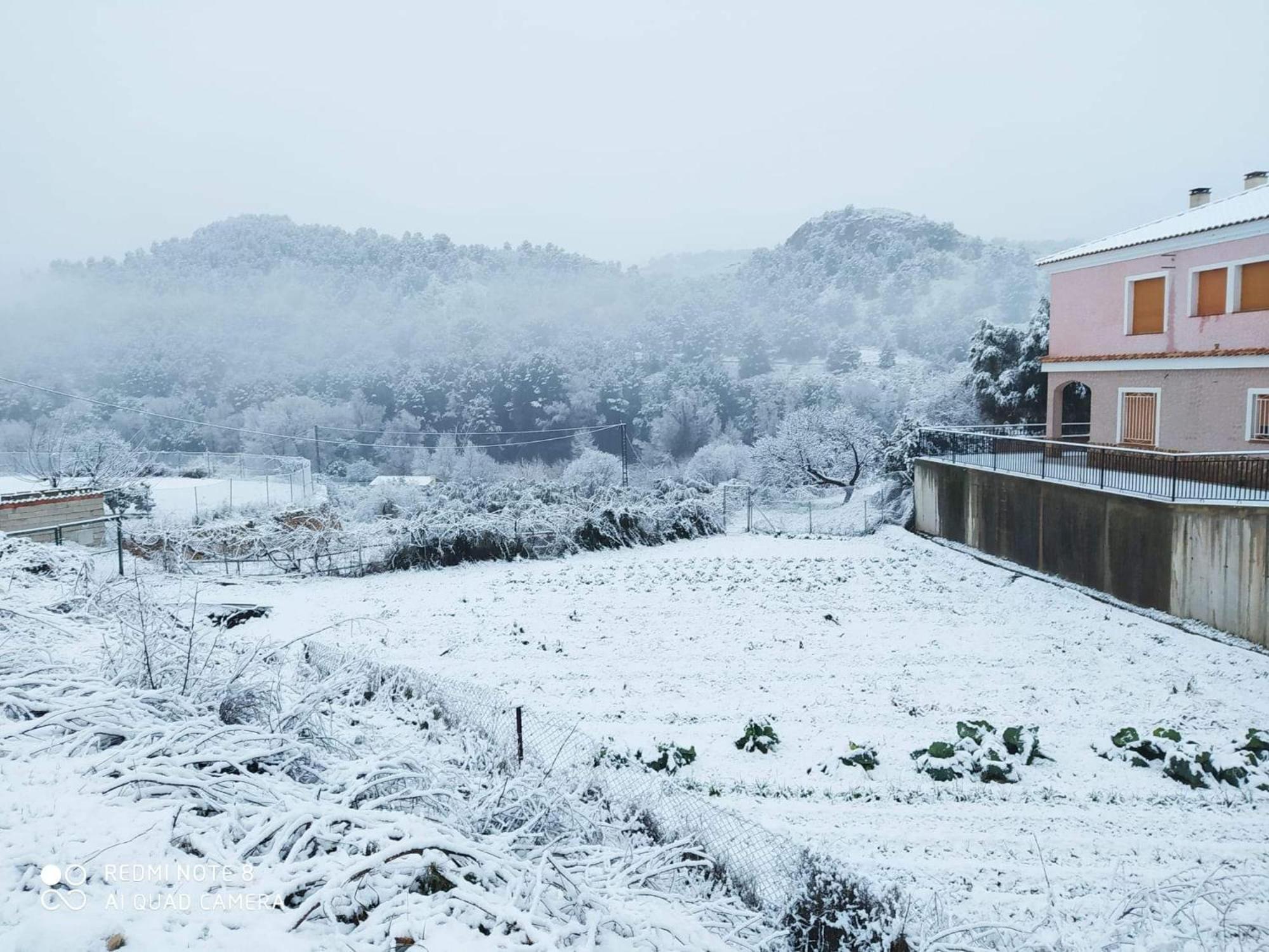 Casa Rural Puente Del Segura Elche de la Sierra Kültér fotó