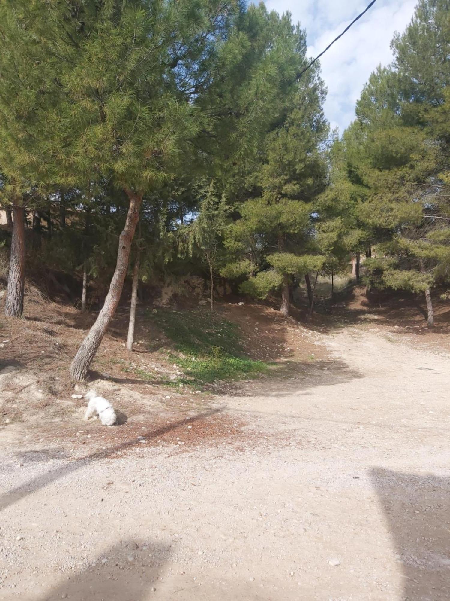 Casa Rural Puente Del Segura Elche de la Sierra Kültér fotó